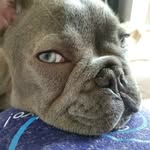Otto Chang Tchakirian - @ottogreeneyes - Instagram