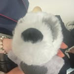 otto david ward green ⁉️⁉️ - @otto.the.sloth - Instagram
