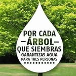 otto guerra - @ottoguerra4788 - Instagram