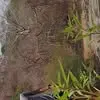 Otto Gutierrez - @otto.gutierrez849 - TikTok