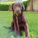 Otto Hansen - @ottohansenlab - Instagram