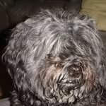Otto Huberty - @ottohuberty - Instagram