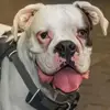 ottokeller6 - @ottokeller6 - TikTok