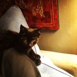 Otto Ludwig von Buxbaum - @ottovonbux - Instagram