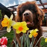 Otto Ludwig von der Ahne - @ottoludwig2020 - Instagram