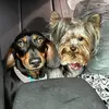 otto.maki - @otto.maki - TikTok