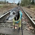 Otto Hahn - @ottomaxwellhahn - Instagram