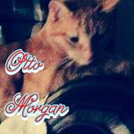 Otto Morgan - @otto89105 - Instagram