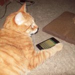Otto Morgan - @ottokitty123 - Instagram