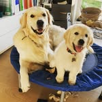 Otto & Oskar Bøgh Nielsen - @ottoandoskar - Instagram