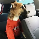 Otto Pacheco - @otto.pacheco.505 - Instagram