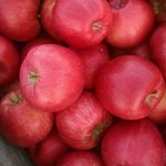 Otto Peterson Farms - @ottopetersonfarms - Instagram