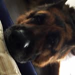 Otto Holm Rasmussen - @otto_og_kato - Instagram