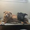 Otto & Raya - @ottoandraya - TikTok