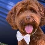 Otto Ray - @ottoraythedoodle - Instagram
