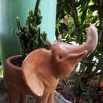 @ottorivas_65 - Instagram