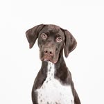 Otto Corsaut-Rush - @otto_das_gsp - Instagram