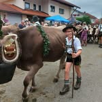 Quirin Otto Schwarz - @dattar_quirin - Instagram