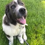 Otto King-Smith - @ottobaldo - Instagram