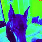 Otto Vaughn - Facebook