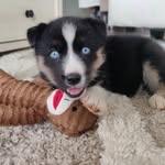 Otto Vaughn Prince - @meet.otto - Instagram