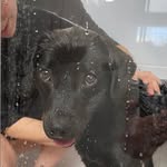 Dr. Otto Watson - @dr.otto.watson - Instagram