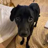 Otto - @dr.otto.watson - TikTok