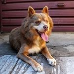 Otto Thomas-Weber - @youottoknowme - Instagram