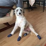 Otto von Weber - @ottovonweber - Instagram