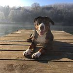 Otto Weber - @otto.weber - Instagram