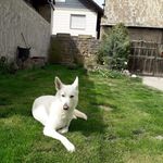 Otto Weber - @otto.weber.79 - Instagram