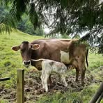 Otto Weber - Facebook