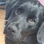 Otto Westerberg - @westerbergotto - Instagram