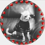 Otto Weston - @otto_oficial_2 - Instagram