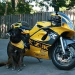 Mel Willis Otto - @melwillisotto421 - Instagram