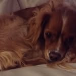 Otto_Willis101 - @otto_willis101 - Instagram