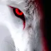 Otto Wolf - @otto.wolf7 - TikTok