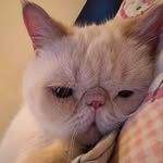 Otto Wong - @ottowong1206 - Instagram