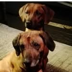 Ove Petersen - @polezist - Instagram