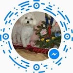 Ovidiu Munteanu - @ovidiu.munteanu.50951 - Instagram