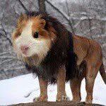 @owain_hughes_43_12345678910 - Instagram