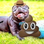 Owen Adkins - @owenadkins0406 - Instagram