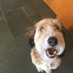 Owen Andersen - Facebook