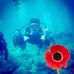 Owen Armstrong - Facebook
