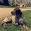 Owen Bonlander - @owen_bonlander - TikTok