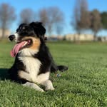 Owen Bower - @owenbower505 - Instagram