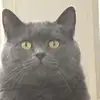 Owen Bowman 22✝️ - @owen.bowman.22 - TikTok