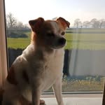 Owen Britton - @owenbritton62 - Instagram