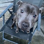 Owen buckley - @owenbuckley70 - Instagram