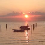 Owen Buckley - @reallyxreelxfishing - Instagram